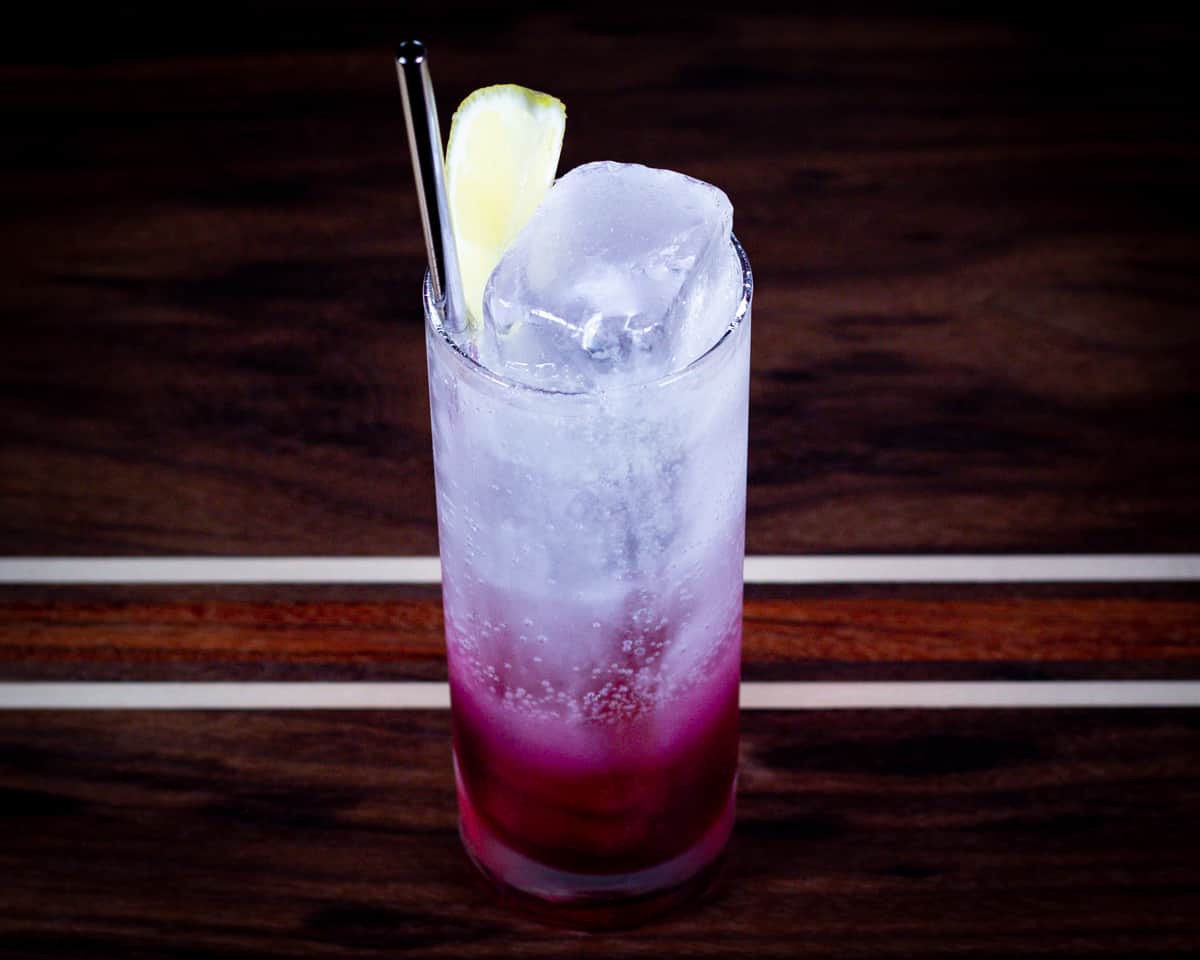 Blueberry Lemon Gin and Tonic - SGWAK