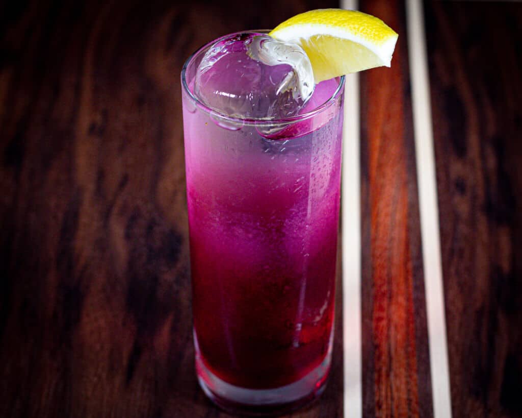 Blueberry Lemon Gin and Tonic - SGWAK